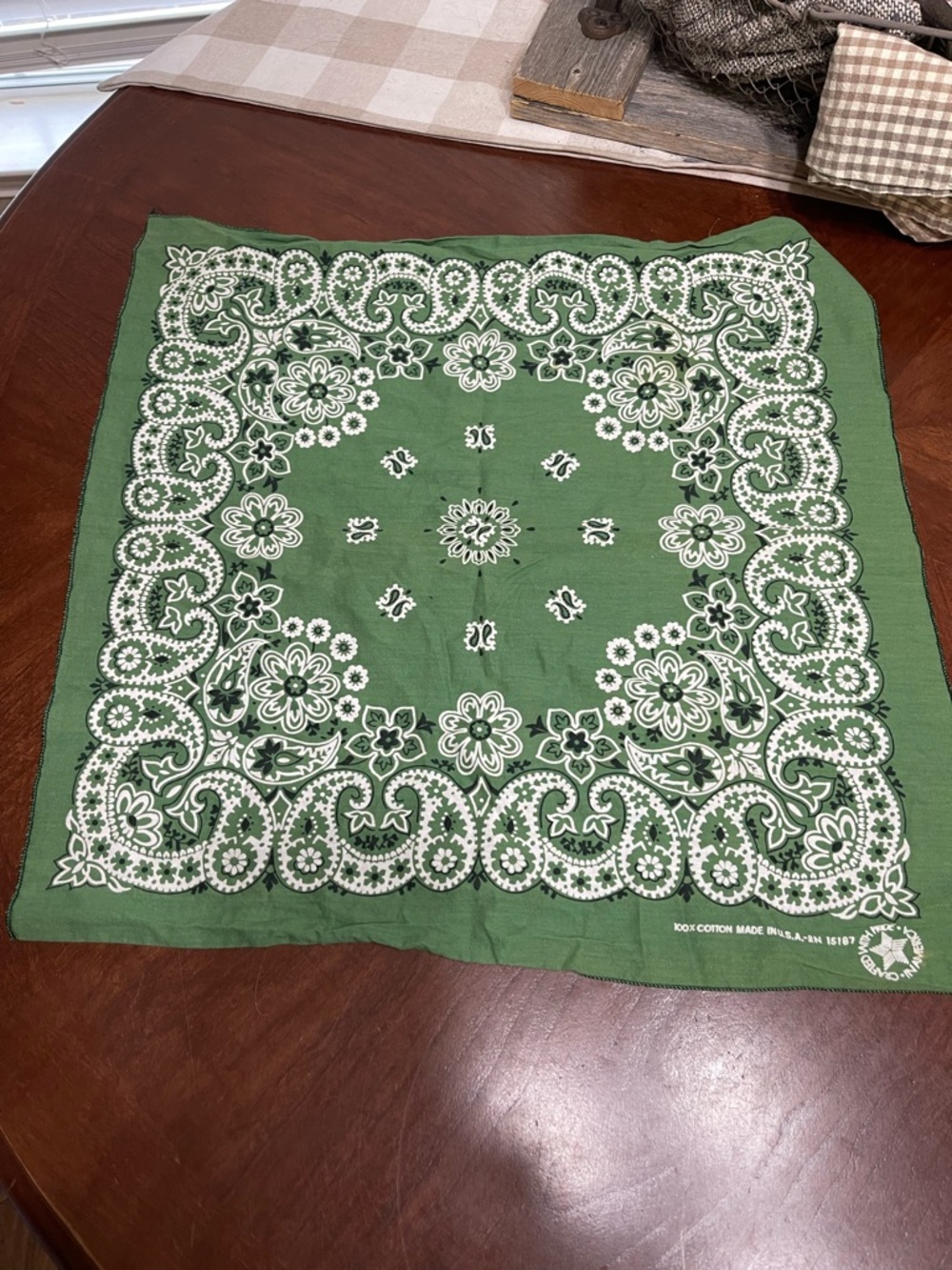 Vintage Hav A Hank green  Bandana  RN 15187